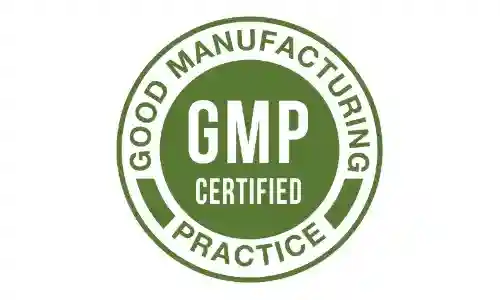 KundaliniFlow GMP Certified