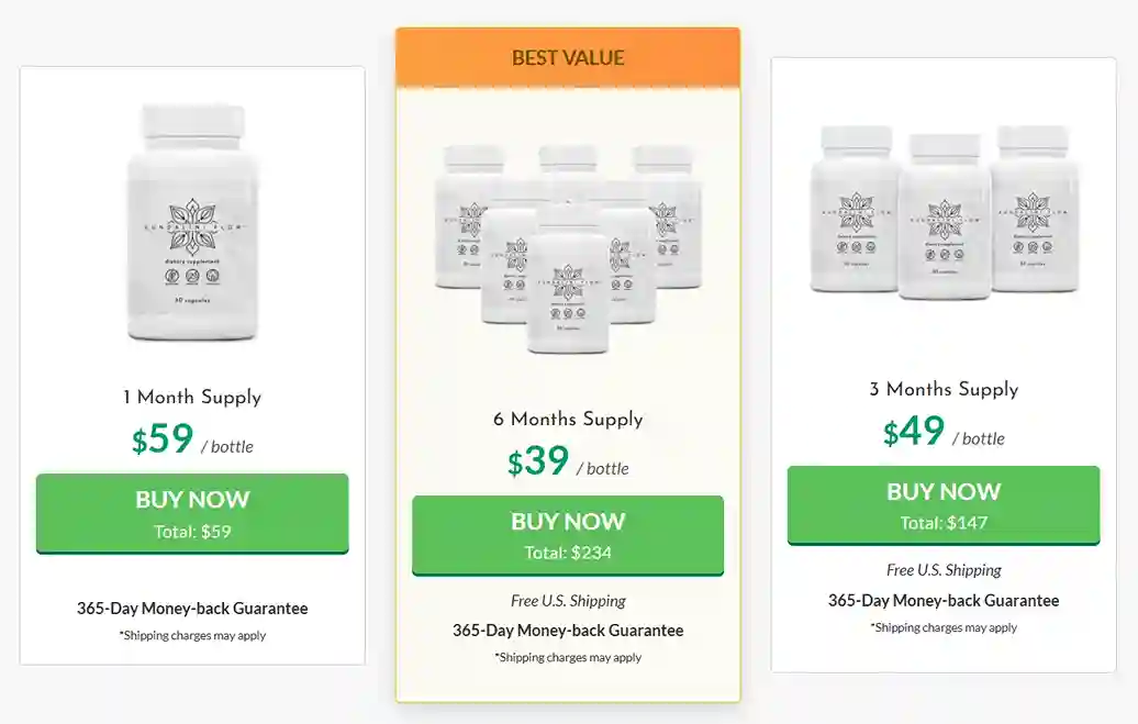 KundaliniFlow price